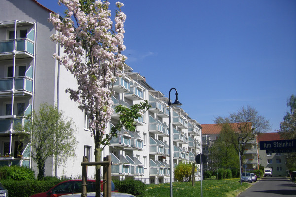 Ruhige moderne 3-Raumwohnung in beliebten Wohngebiet Steinhof, im Erstbezug.