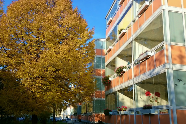 Kleine gemütliche Wohnung in grüner und ruhier Lage mit großem verglasten  Balkon
